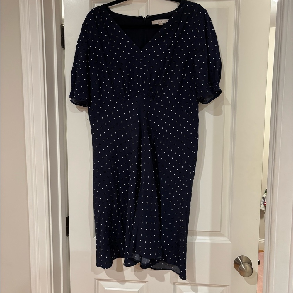 Loft Navy Polka Dot Dress